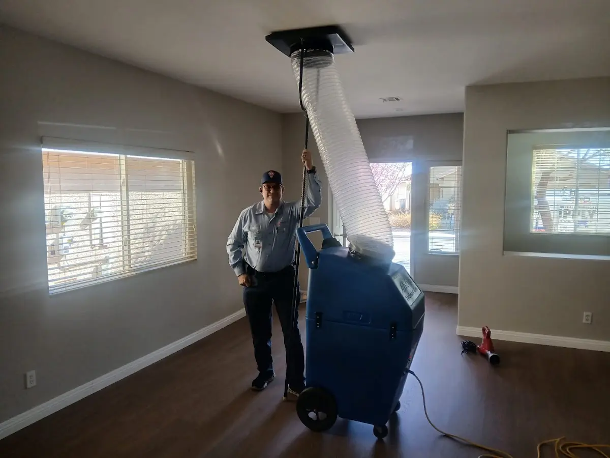 Professional Dryer Vent Cleaning work inside a Georgetown home